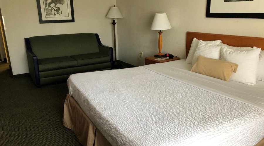 King Mini Suite