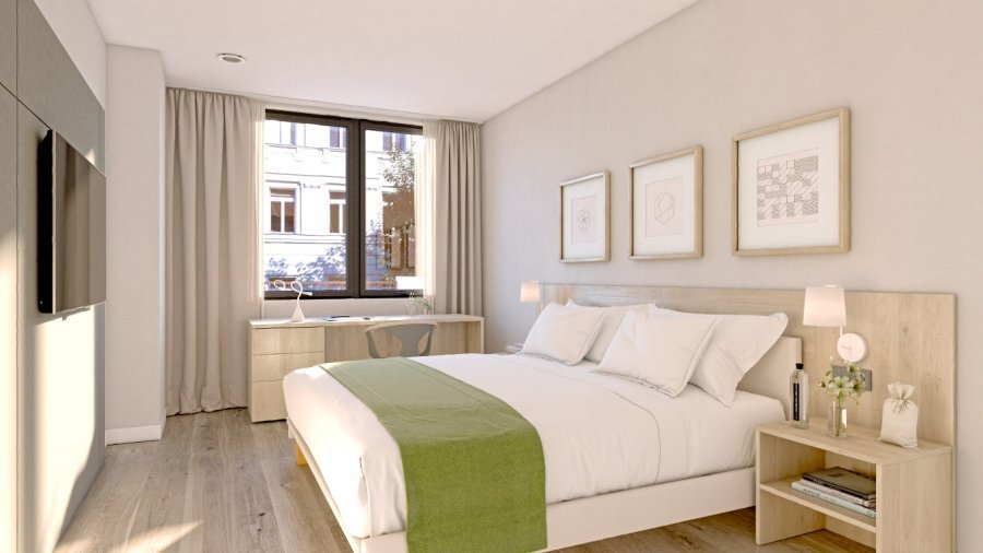 623391 Guest Room