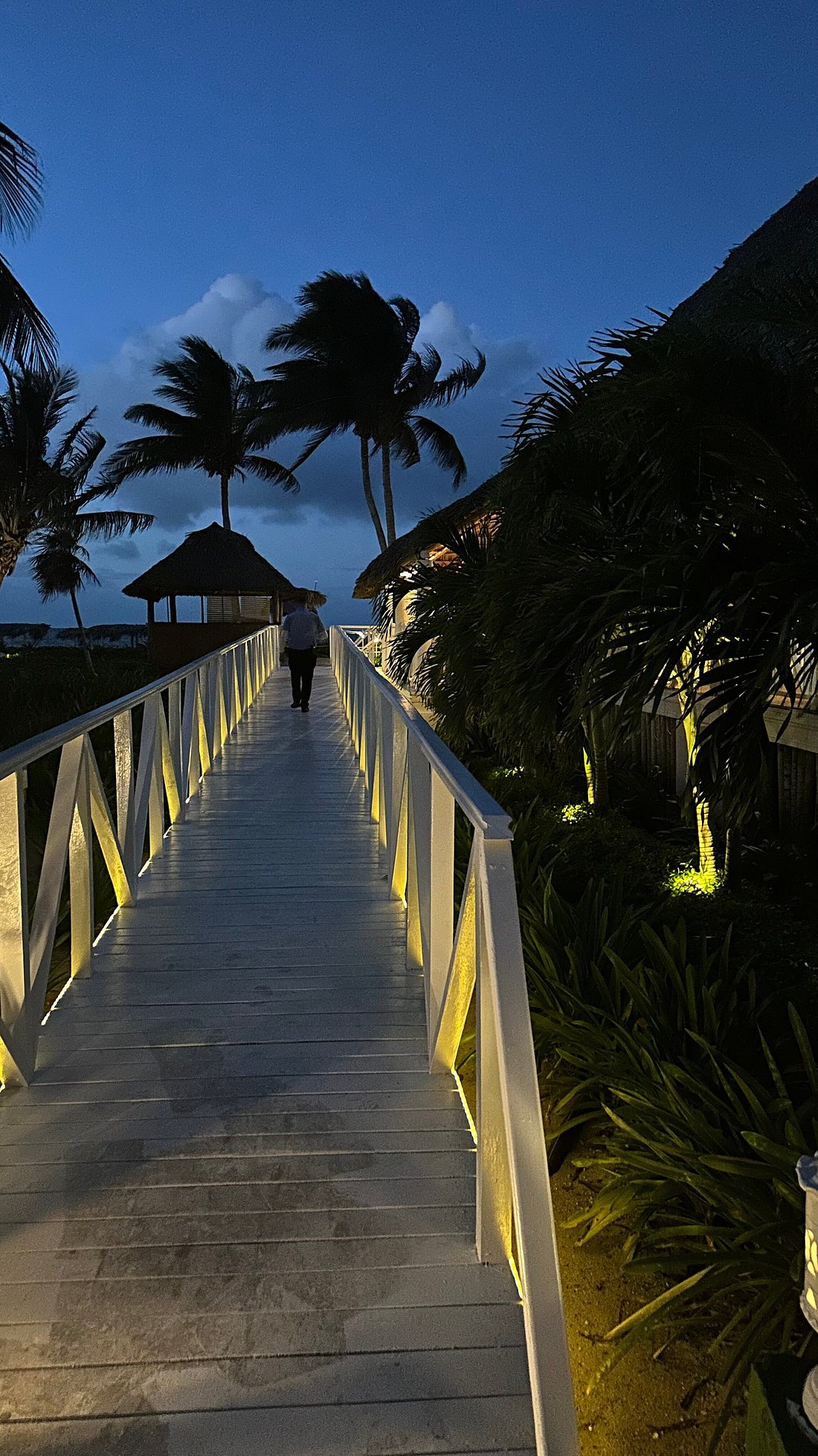 MELIA CAYO COCO (Куба/Кайо-Коко) - отзывы и фото - Tripadvisor