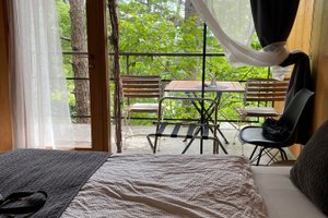 Room & Suite