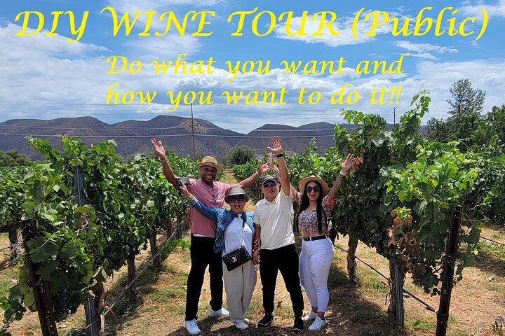 THE 10 BEST Temecula Wine Tasting Tours (2024) - Tripadvisor