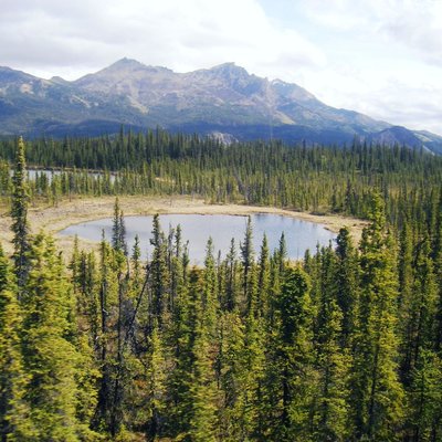 The window view of a lake from The Alaska Railroad.