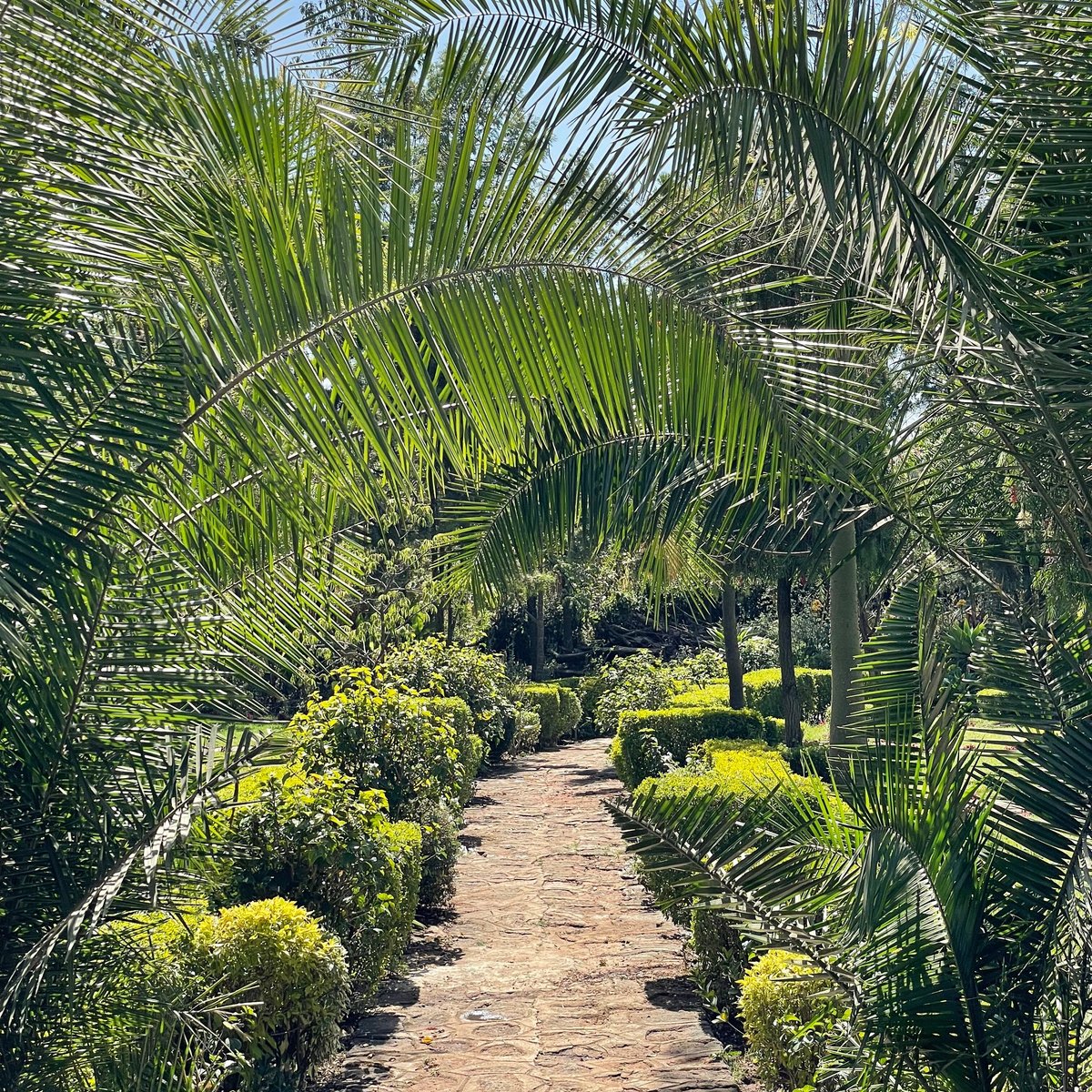 Wanza Botanical Garden - O que saber antes de ir (2025)