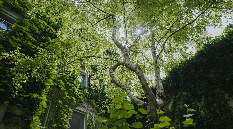 Garten