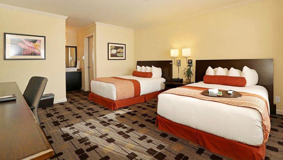 Double Bed Room
