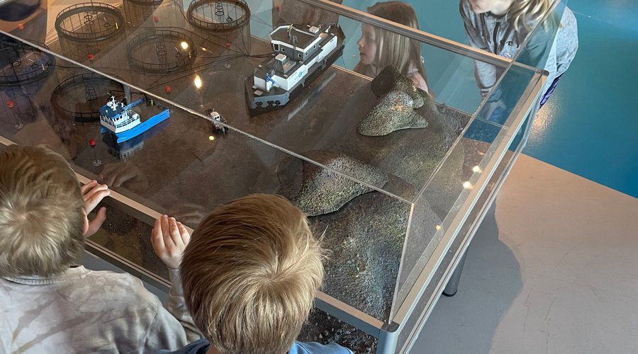 Childern looking at our model for salmon farming in our exhibition center 