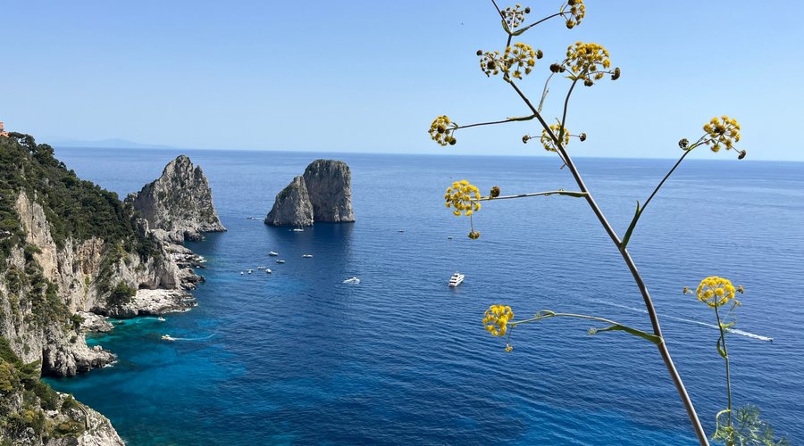 Dai giardini di Augusto