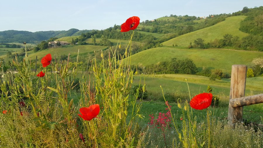 Vista panoramica dal giardino in primavera