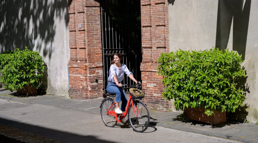 bikes