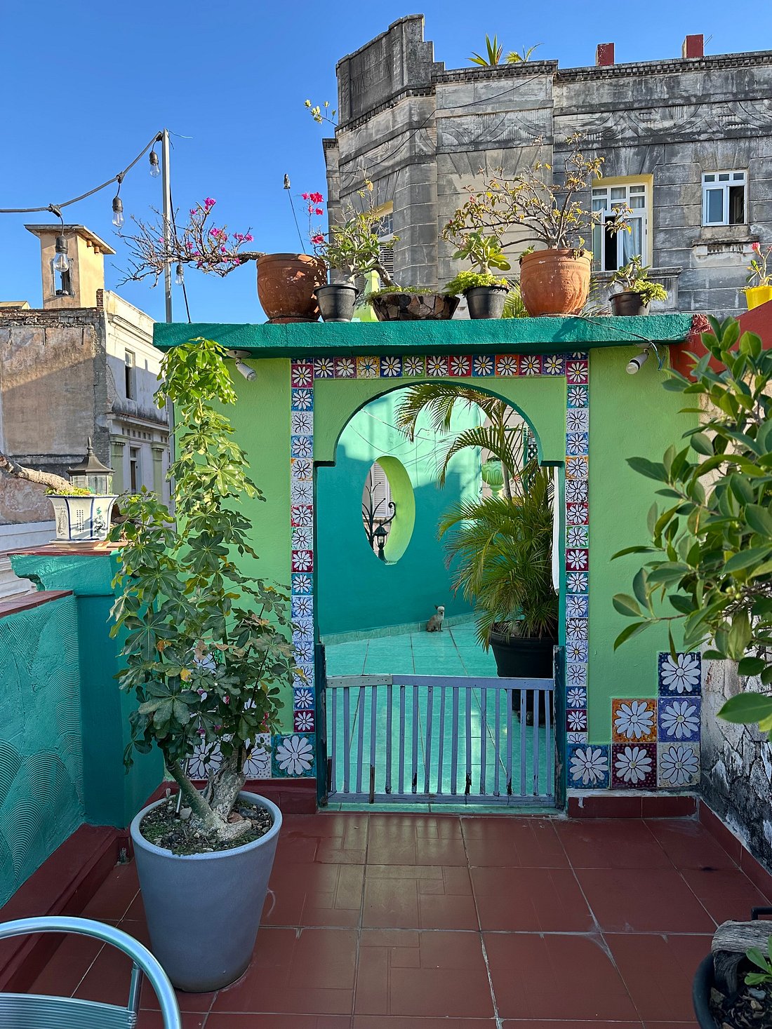 HOSTAL CHEZ NOUS LA HABANA CUBA (Гавана) - отзывы и фото - Tripadvisor