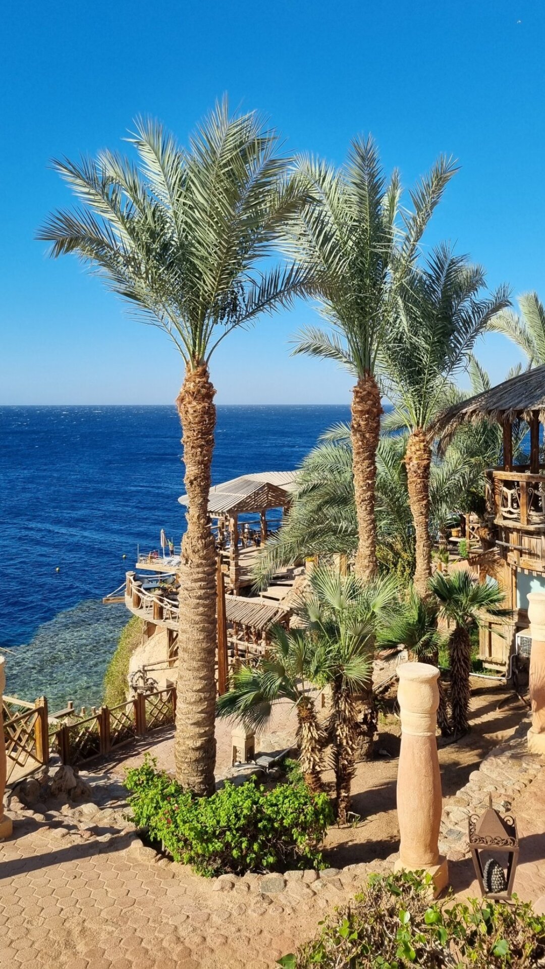 RIXOS GOLF VILLAS & SUITES SHARM EL SHEIKH (Египет/Шарм-эль-Шейх) - отзывы,  фото и сравнение цен - Tripadvisor