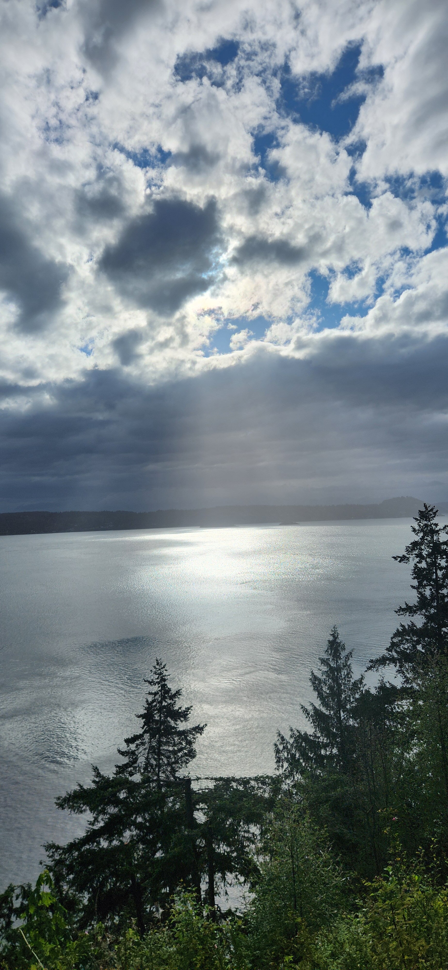 THE BLUFF ON WHIDBEY BED & BREAKFAST - Updated 2024 Prices & Specialty ...