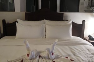 Room & Suite