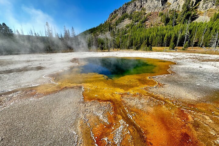 THE 10 BEST Yellowstone National Park Tours u0026 Excursions for 2024