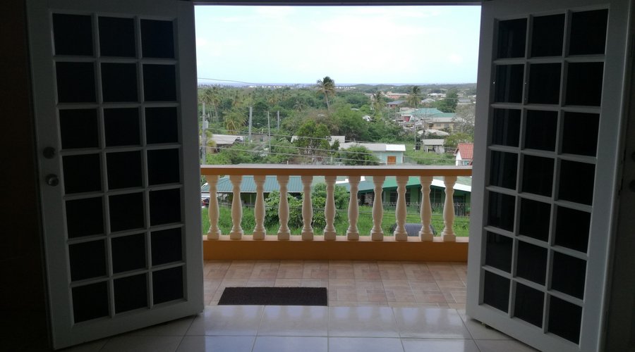 The view