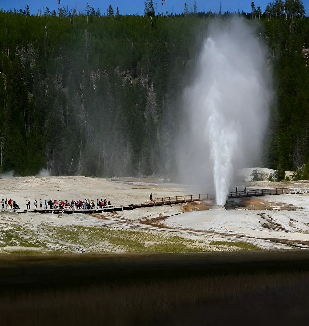 In My Element Yellowstone Tours (Bozeman, MT): Address, Phone Number ...