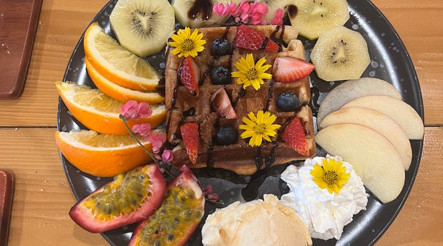 Warm waffle with homemade ice cream, whipped cream and assorted local fruit