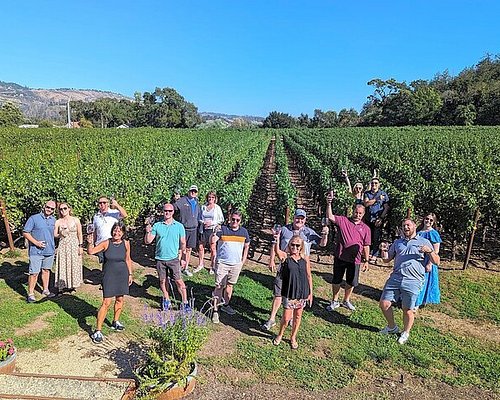 napa valley wine tasting tour