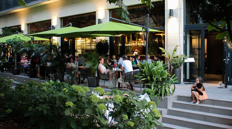 Terrace