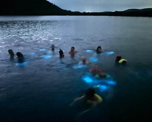 lajas bioluminescent bay boat tour