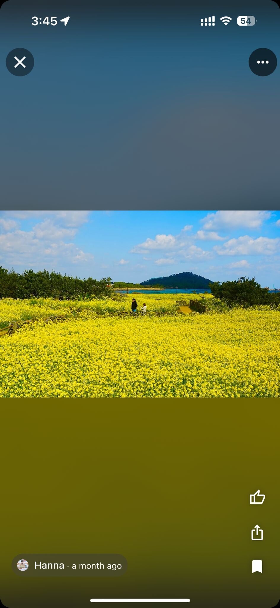 Jeju Taxi Tour (Kota Jeju, Korea Selatan) - Review - Tripadvisor