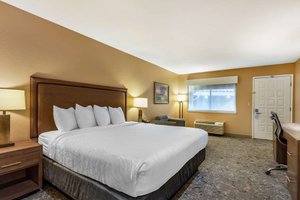 Room & Suite