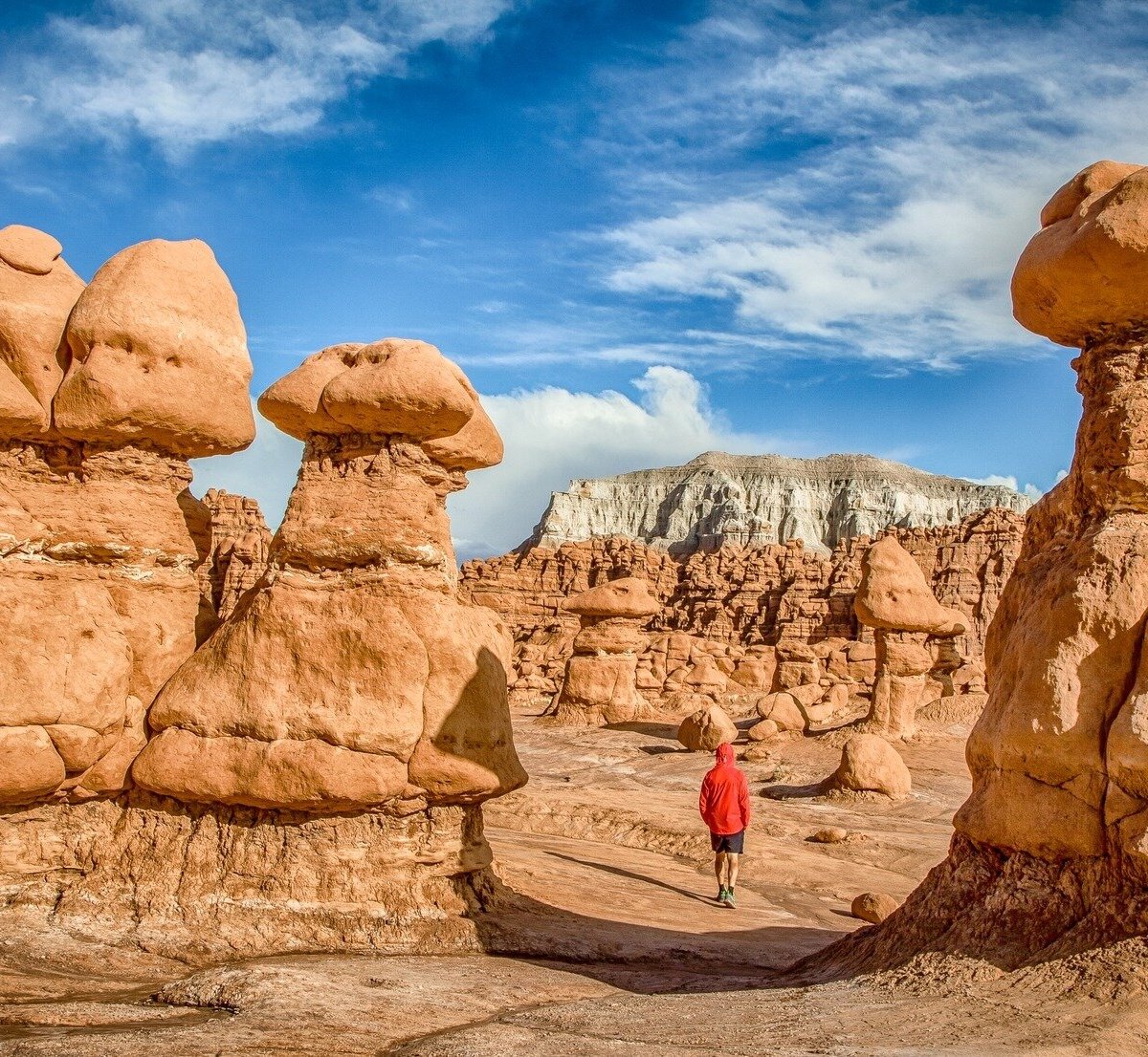 2024年 Shaka Guide Audio Tour Guide: Hanksville, Utah - 出発前に知っておくべきことすべて ...