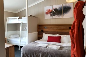 Room & Suite