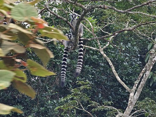 tour madagascar turisanda