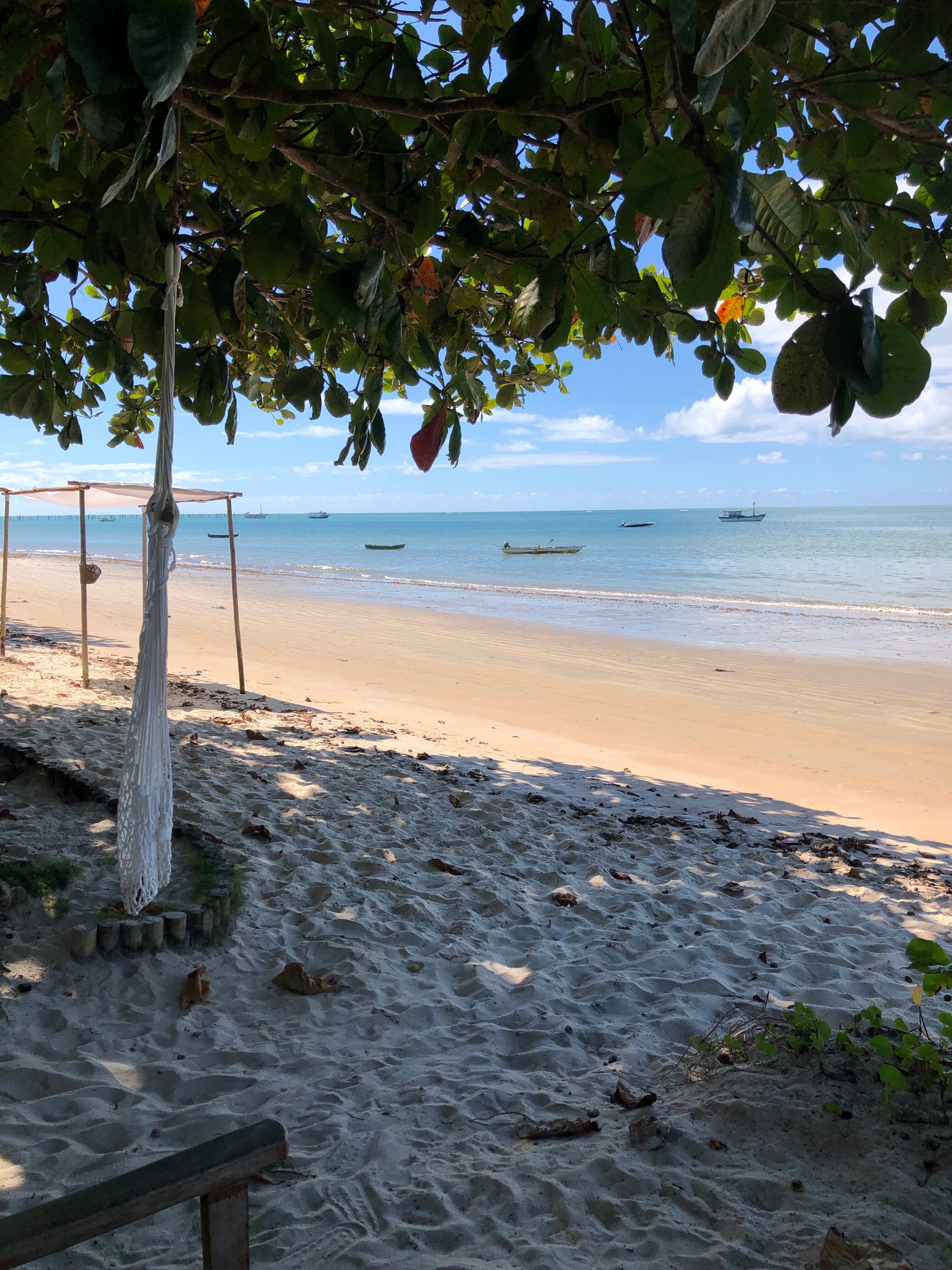 POUSADA AREIA PRETA (CUMURUXATIBA): 310 Fotos, Comparação De Preços E ...