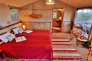 Room & Suite