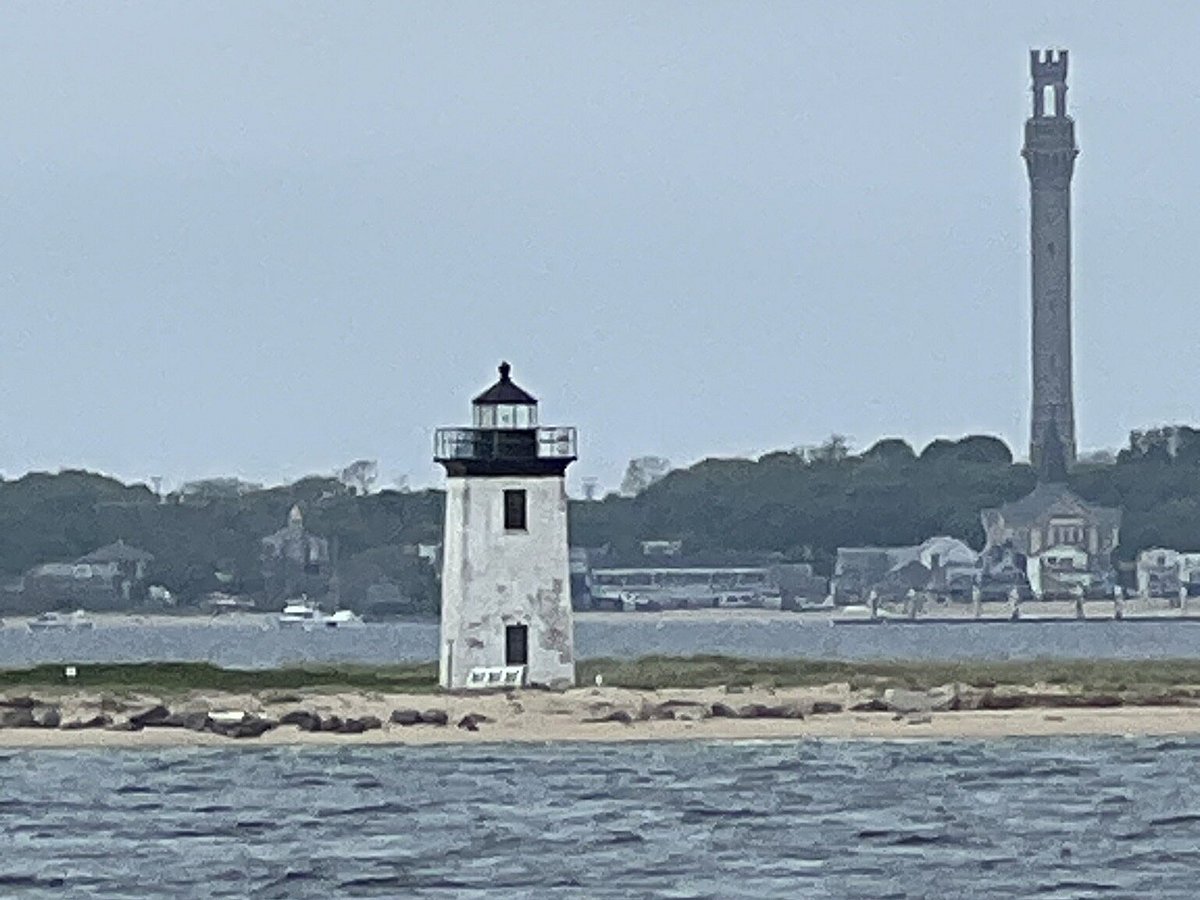 whale watching tour provincetown