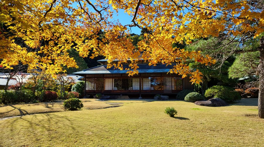 日本庭園（秋）