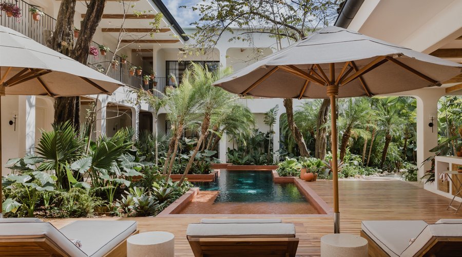 Pool and lounge area