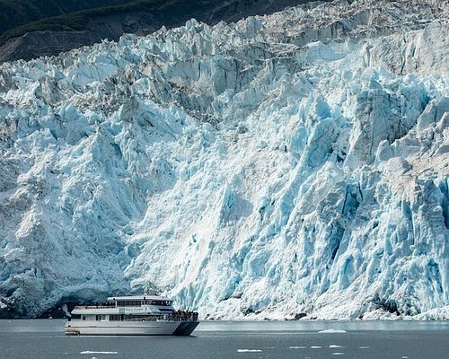 kenai fjords boat tour reviews