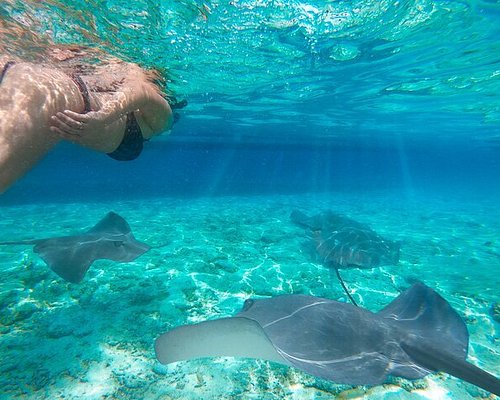 Manta Point from Labuan Bajo Day Trip: Unforgettable Marine Adventure