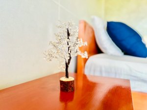 Habitación y suite