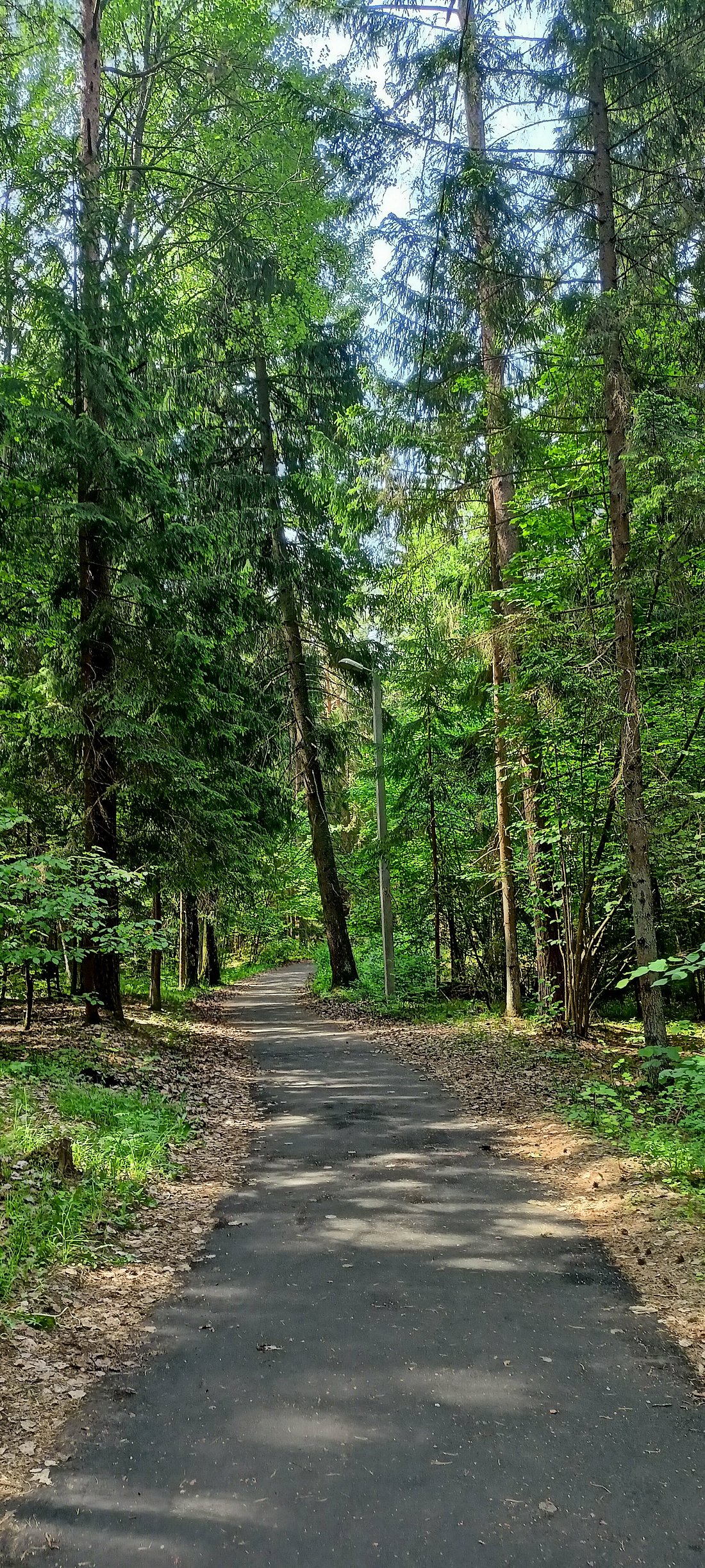 САНАТОРИЙ НАРОЧАНСКИЙ БЕРЕГ (Нарочь) - отзывы и фото - Tripadvisor