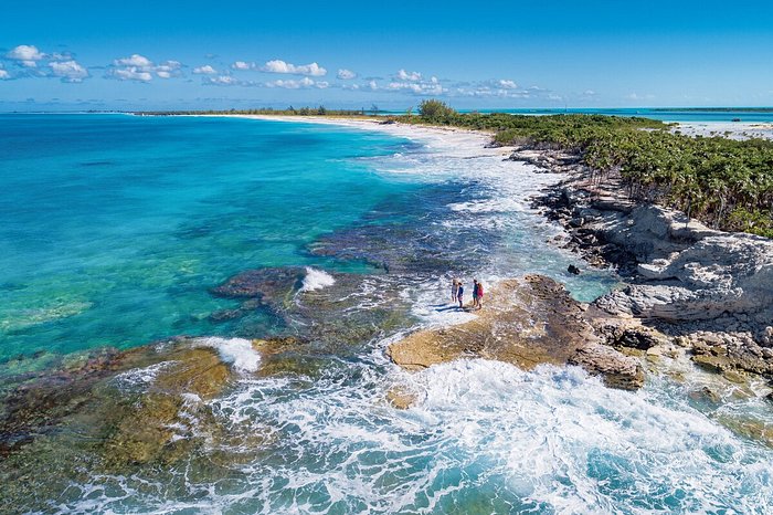 Beaches Turks and Caicos: A Culinary Journey Through Island Flavors
