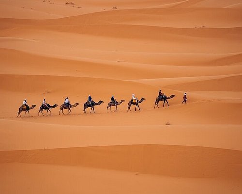 ouarzazate excursions desert