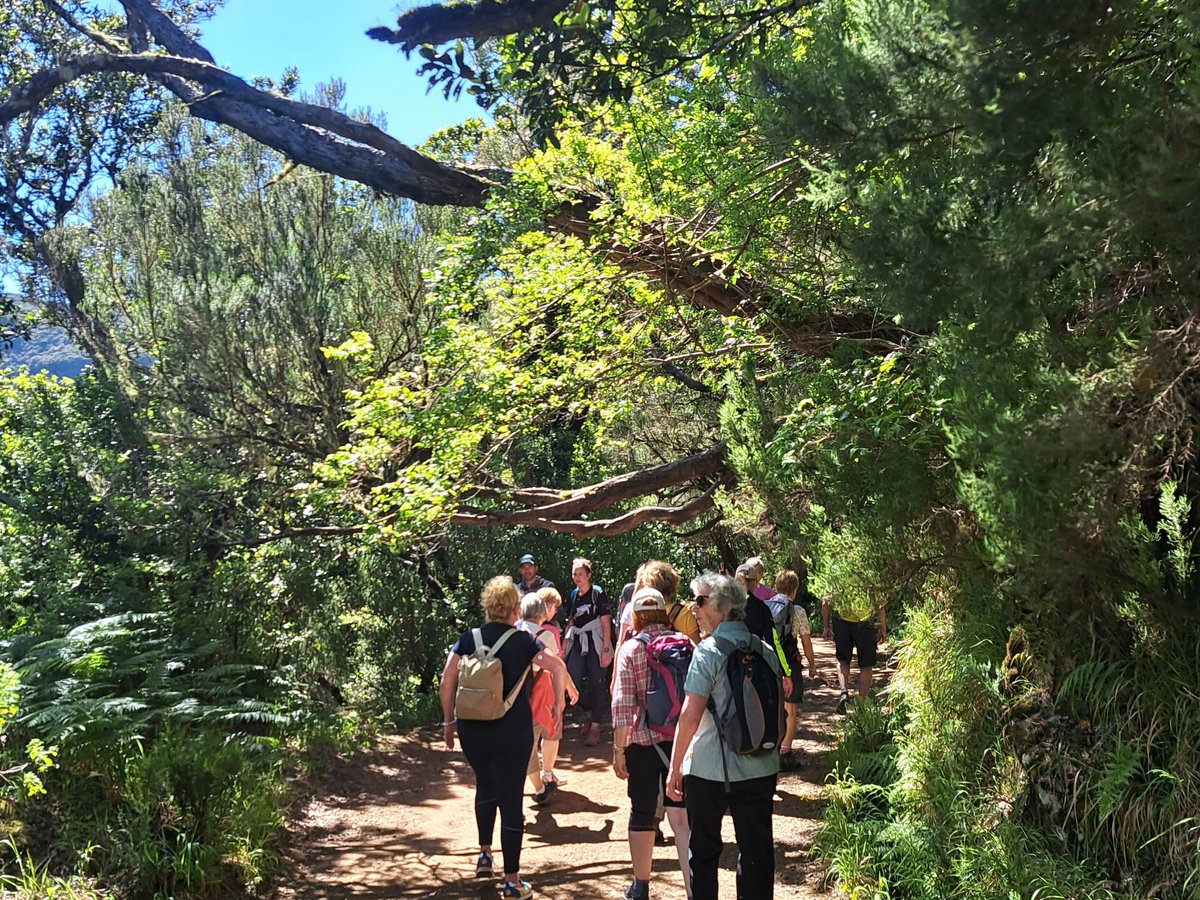 Madeira Explorers - Levada and Leisure Walks, Фуншал: лучшие советы перед  посещением - Tripadvisor