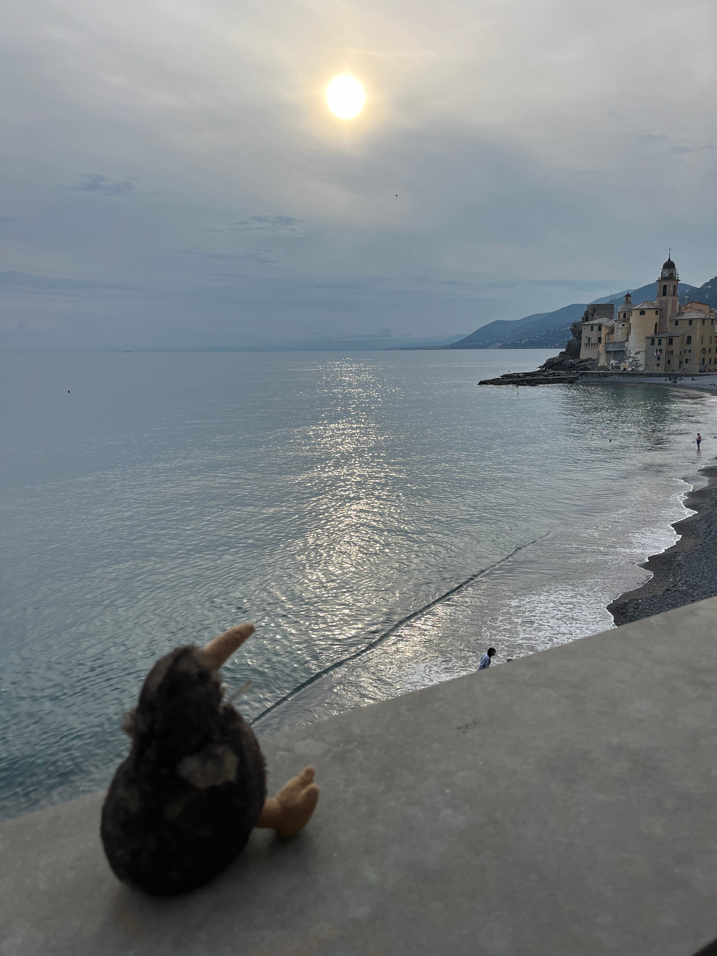 LA CAMOGLIESE HOTEL B&B - Updated 2024 Reviews (Camogli, Italy)