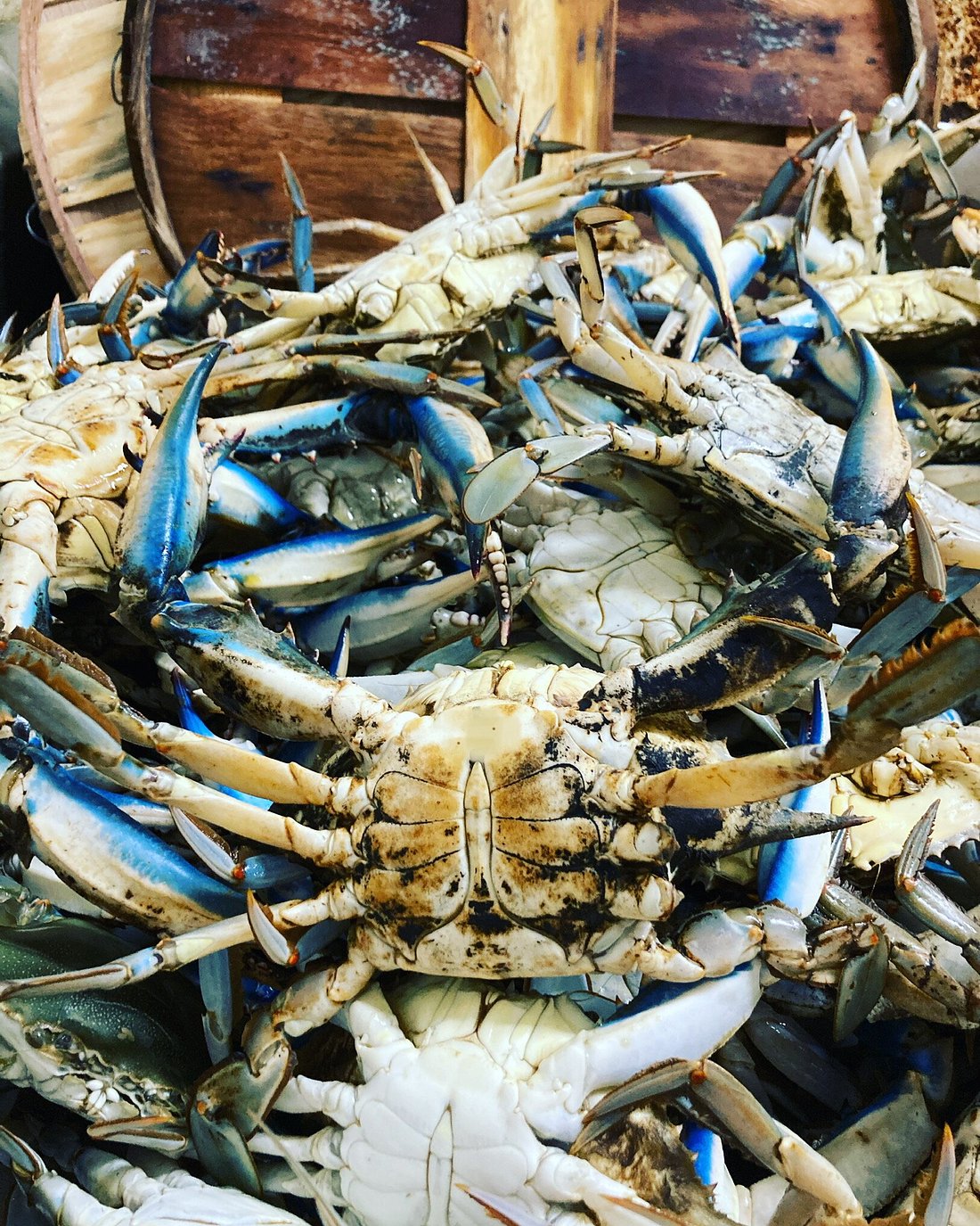 OCEAN ODYSSEY CRAB HOUSE & RESTAURANT, Cambridge - Menu, Prices