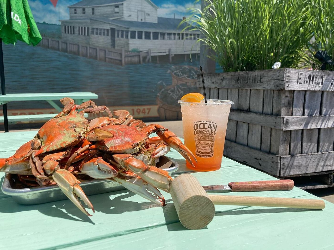 OCEAN ODYSSEY CRAB HOUSE & RESTAURANT, Cambridge - Menu, Prices