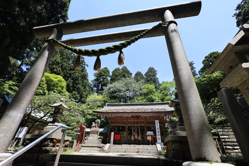 郵送買取 新品5台以上送料無料キャンペーン中！！  2025年 葛城神社 - 出発前に知っておくべきことすべて 絵画/タペストリー