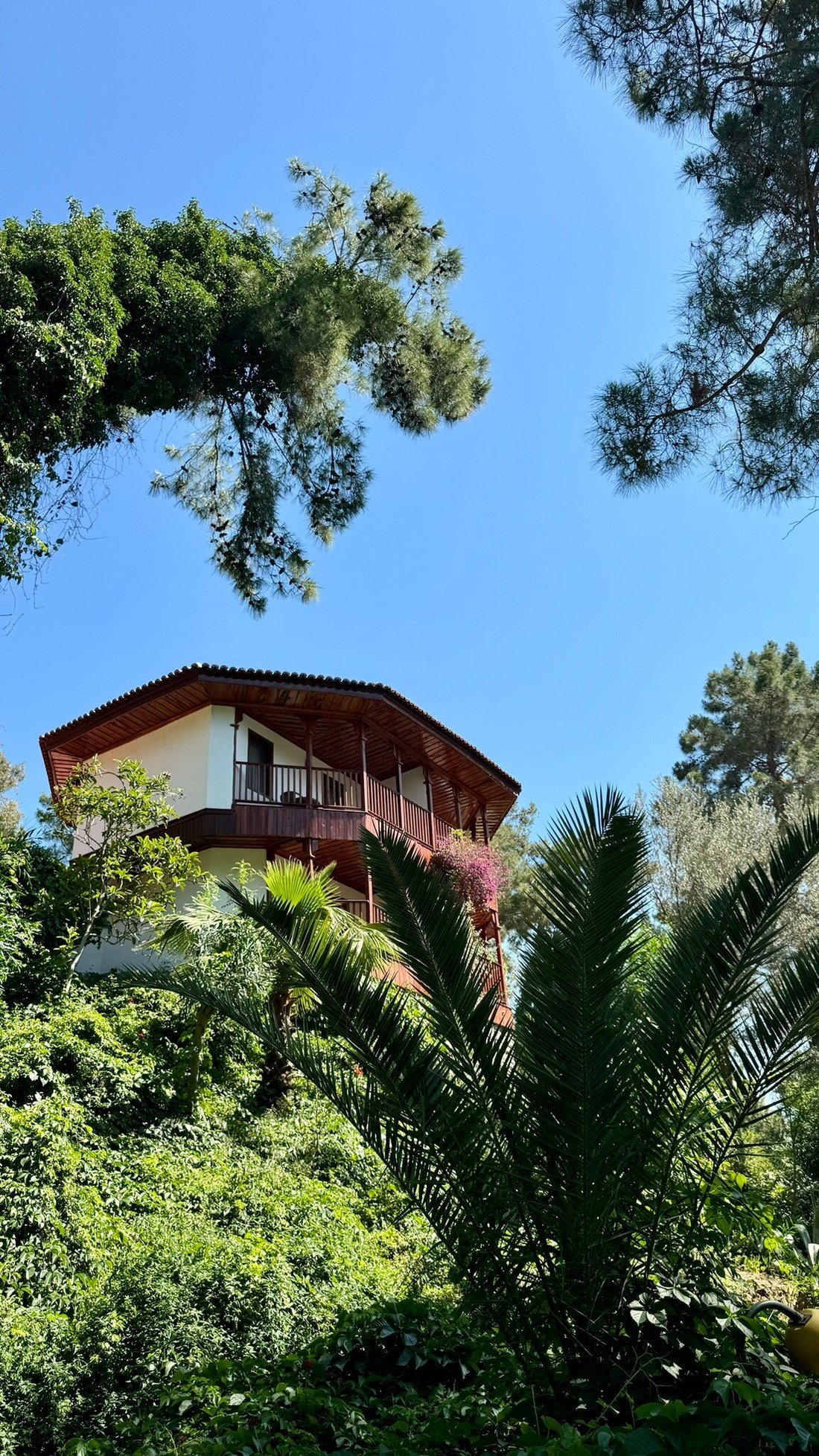 CLUB & HOTEL LETOONIA (Фетхие) - отзывы, фото и сравнение цен - Tripadvisor