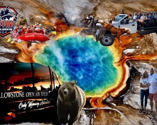 day tours of yellowstone national park