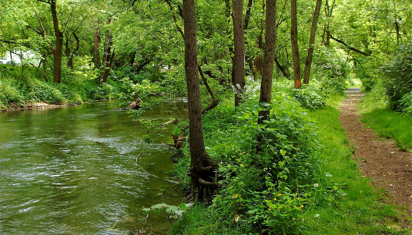 Quittie Creek Nature Park - 앤빌 - Quittie Creek Nature Park의 리뷰 - 트립어드바이저
