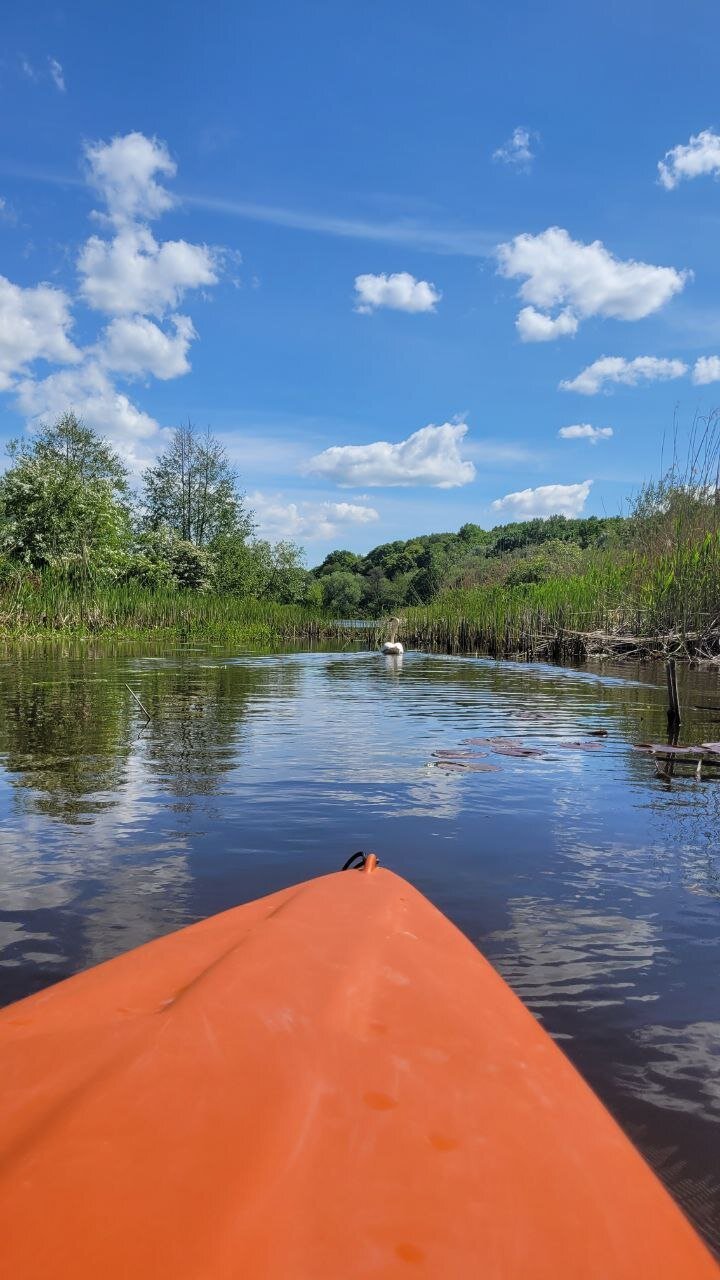 ЗАМКОВОЕ ИМЕНИЕ ЛАНГЕНДОРФ (Сокольники) - отзывы и фото - Tripadvisor