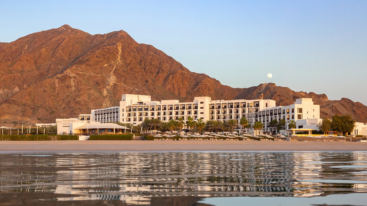 МореМоре - отзыв о Le Meridien Al Aqah Beach Resort, Al Aqah, ОАЭ -  Tripadvisor